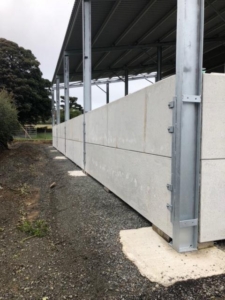 Prestressed Wall panels for cattle shed